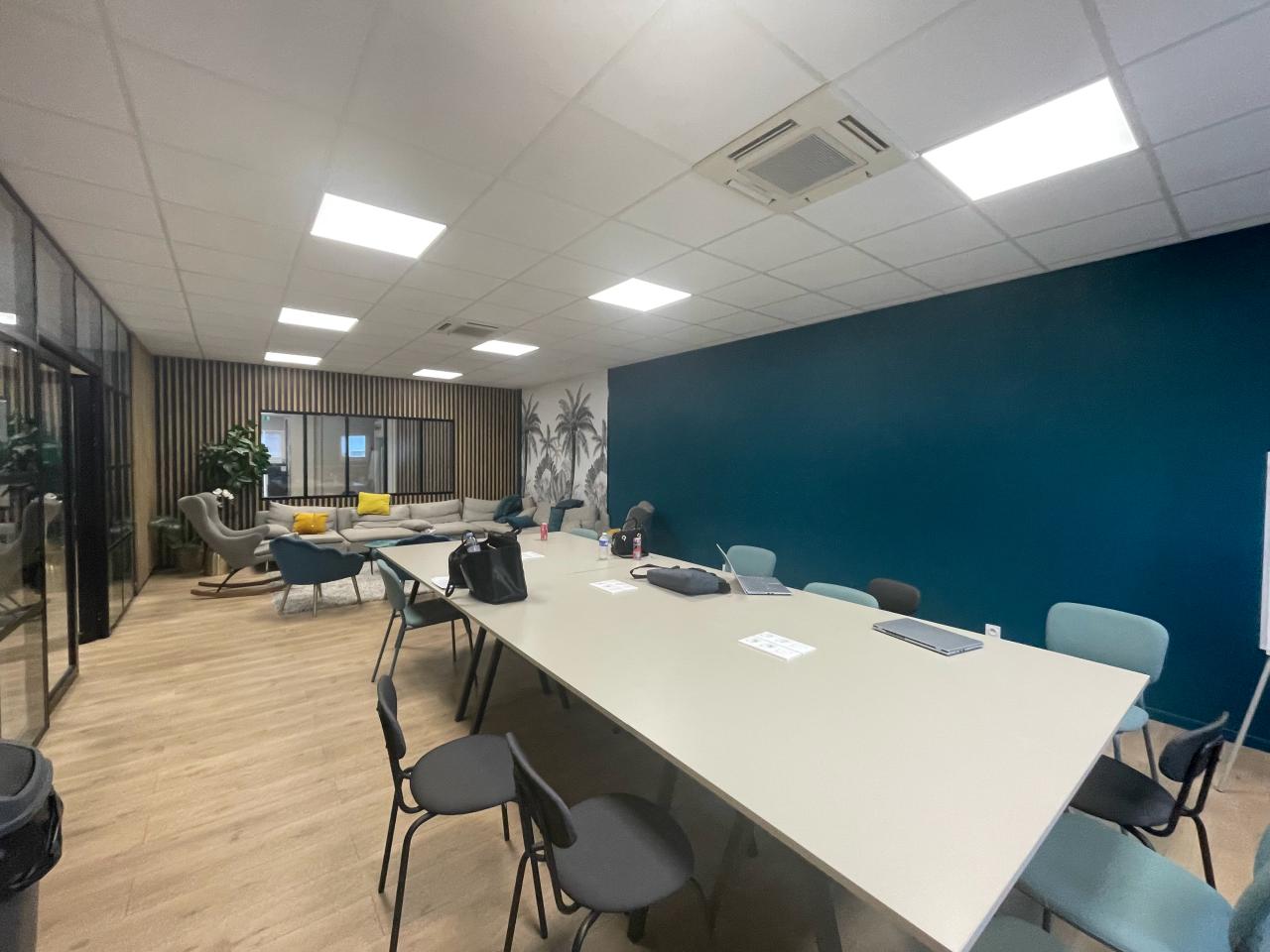 Local d'activité Villeurbanne 1080m² Vente local d'activité Villeurbanne Rhône OVACT2533860 21